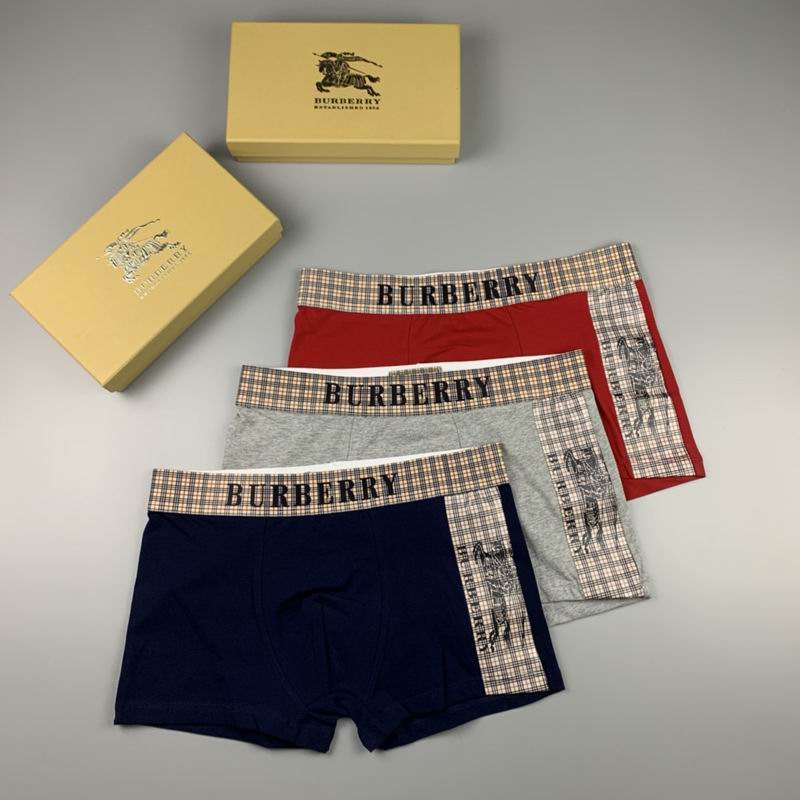 Burberry boxer M-XXL 33 (3)